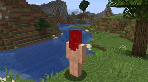 minecraft naked skin|Nudity